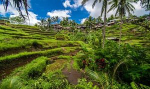 sumber daya alam