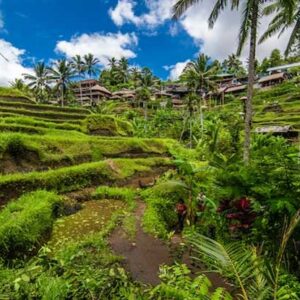 sumber daya alam